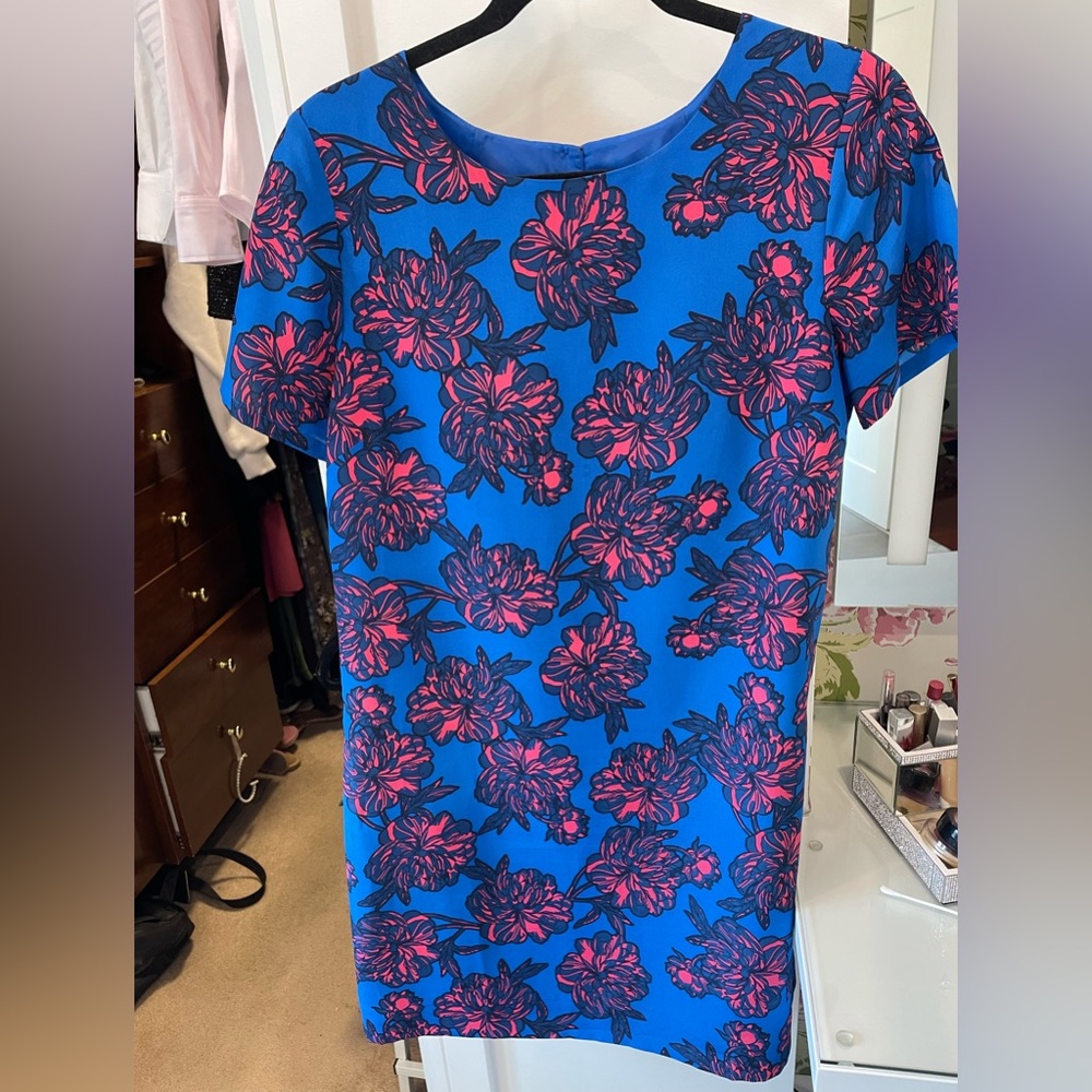 J Crew dress